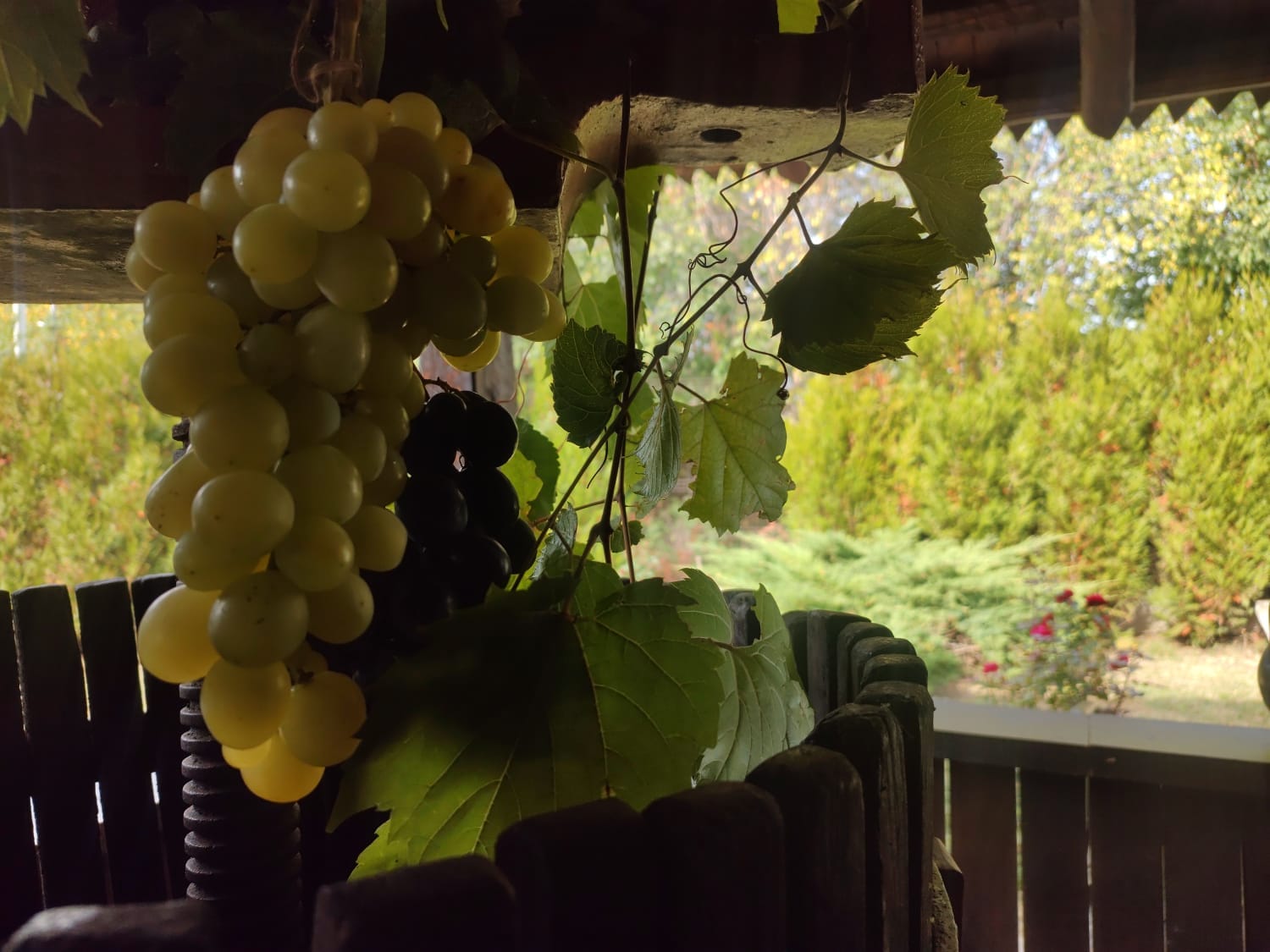 Excursie Circuit escapada-regala-conac-crama-manastire