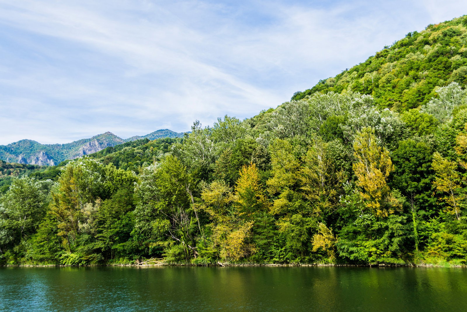 Excursie Circuit floriile-in-tara-lovistei