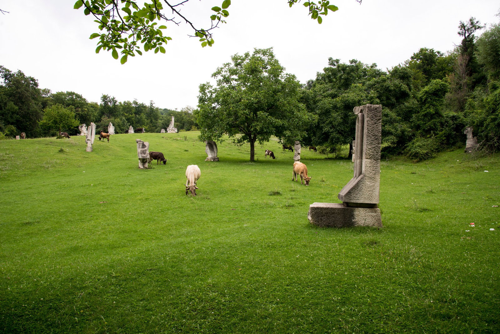 Excursie Circuit o-zi-la-festivalul-carnatilor-de-plescoi-in-berca