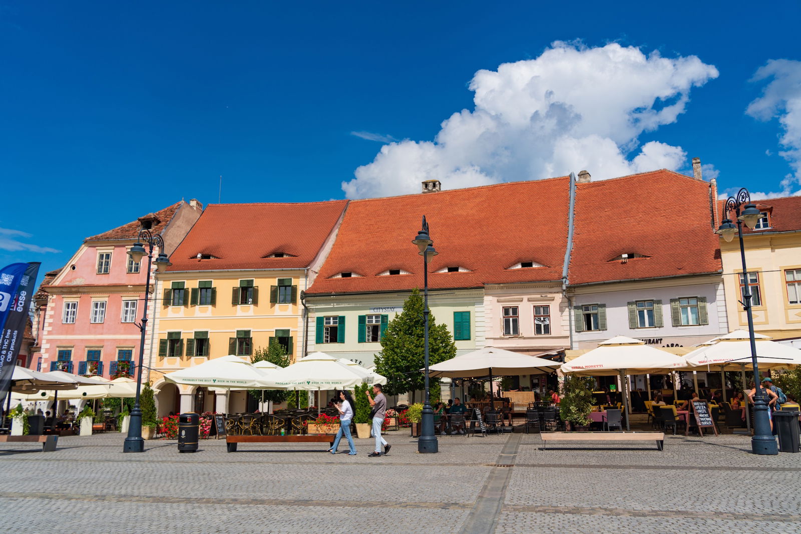 Excursie Circuit excursie-1-zi-ferma-de-cerbi-avrig-sibiu-2026