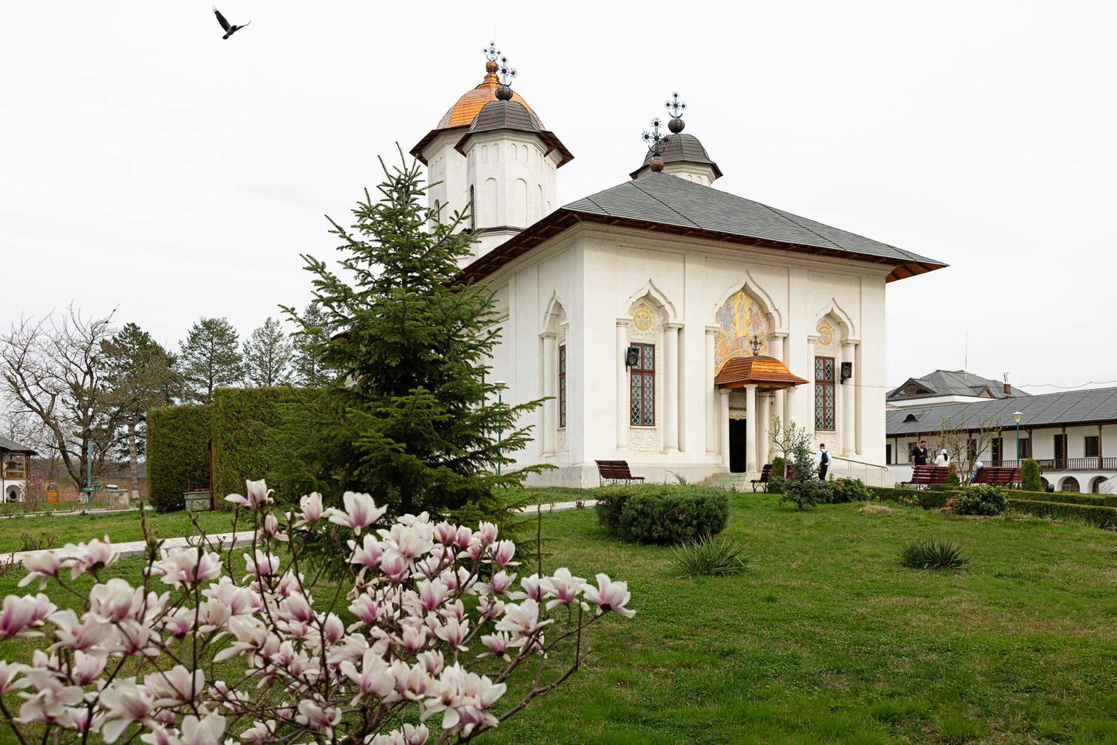 Postul Mare in Athosul Tarii Romanesti autocar 2026