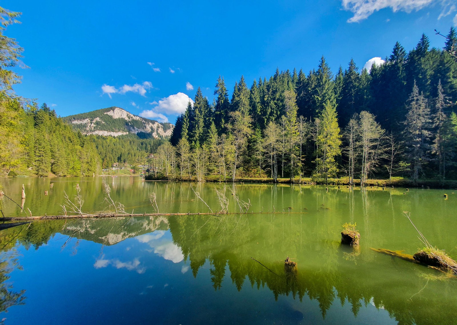 Excursie Circuit pe-calea-binecuvantarii-pelerinaj-la-parintele-cleopa-sf-gheorghe-pelerinul-si-icoana-sfintei-ana-de-la-bistrita
