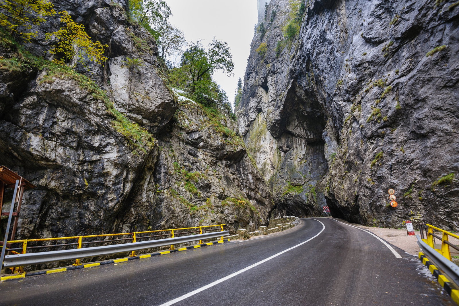 Excursie Circuit pe-calea-binecuvantarii-pelerinaj-la-parintele-cleopa-sf-gheorghe-pelerinul-si-icoana-sfintei-ana-de-la-bistrita