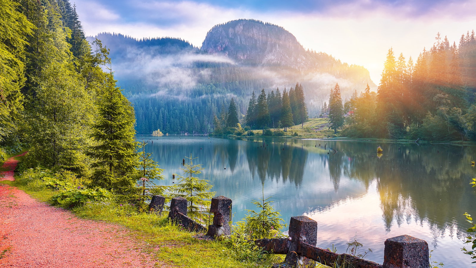 Odiseea Marturisitorilor la mormantul Parintelui Iustin Pirvu