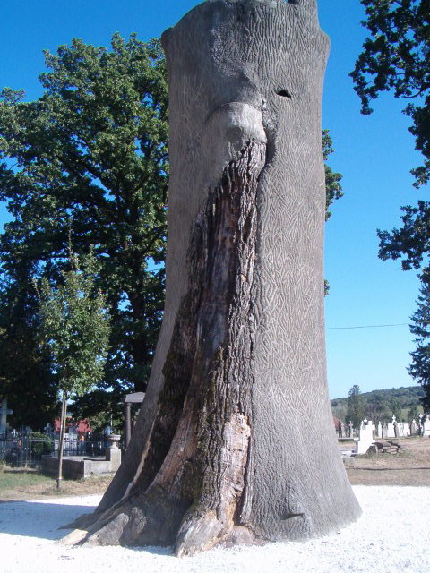 Excursie Circuit pelerinaj-la-tronul-soarelui-de-la-sarmizegetusa