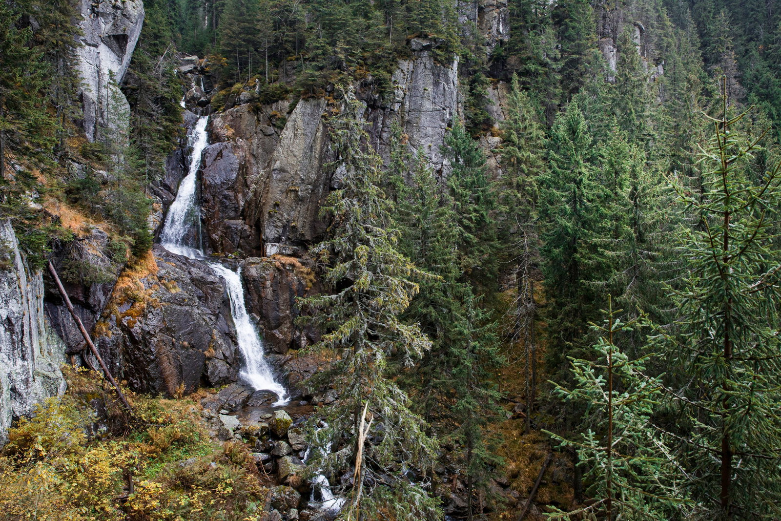 Excursie Circuit drumetie-la-cascada-moara-dracului