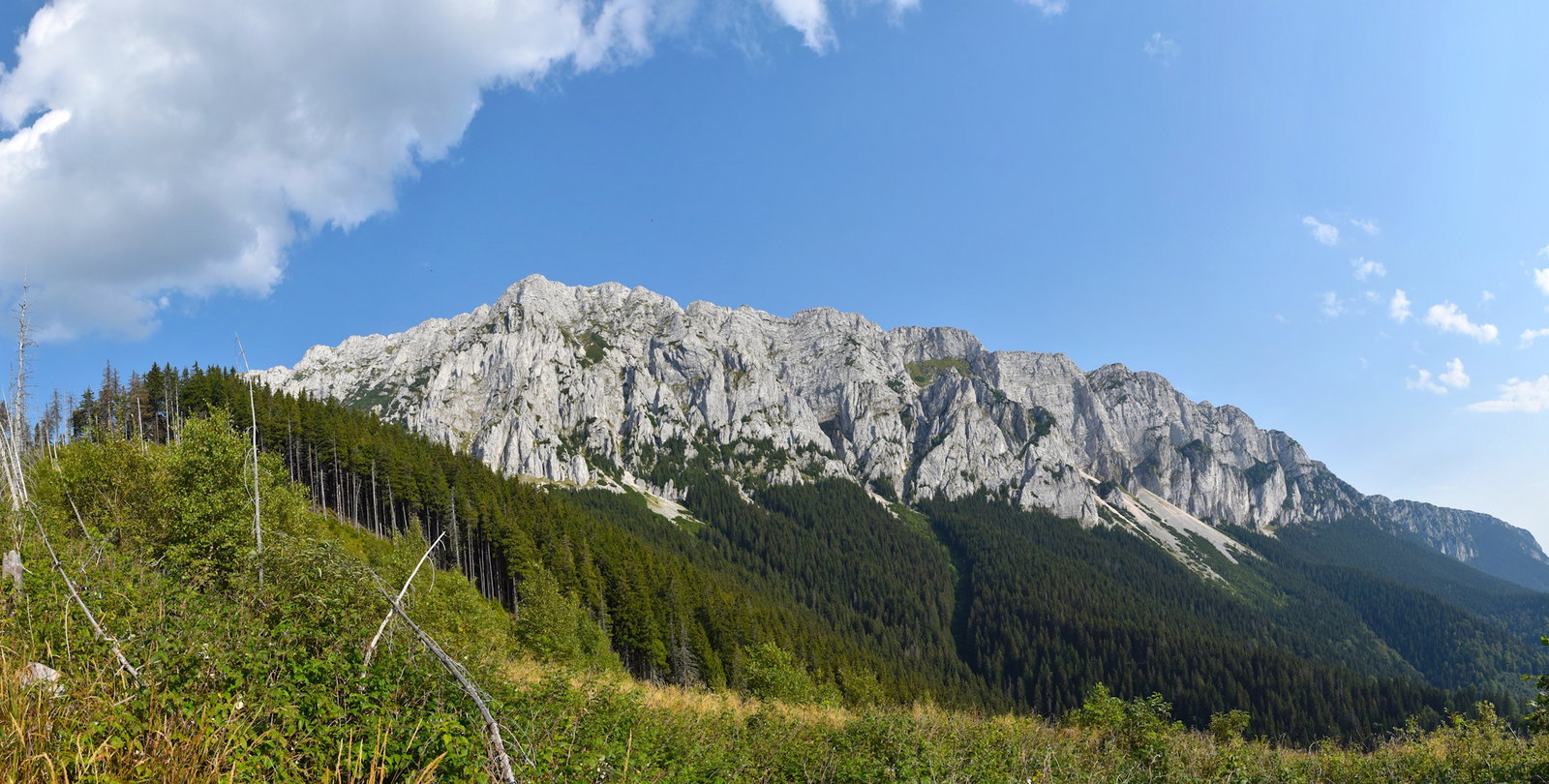 Excursie Circuit drumetie-povestea-cheilor-inflorite-podul-dambovitei-cheile-cheii-cheile-crovului-si-pestera-ulcele