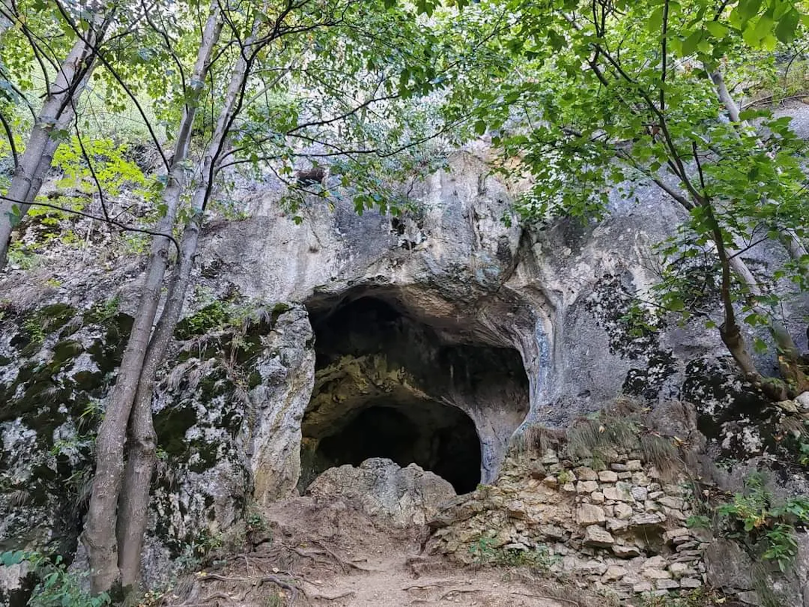 Excursie Circuit drumetie-tinutul-casienilor-pe-urmele-orasului-pierdut