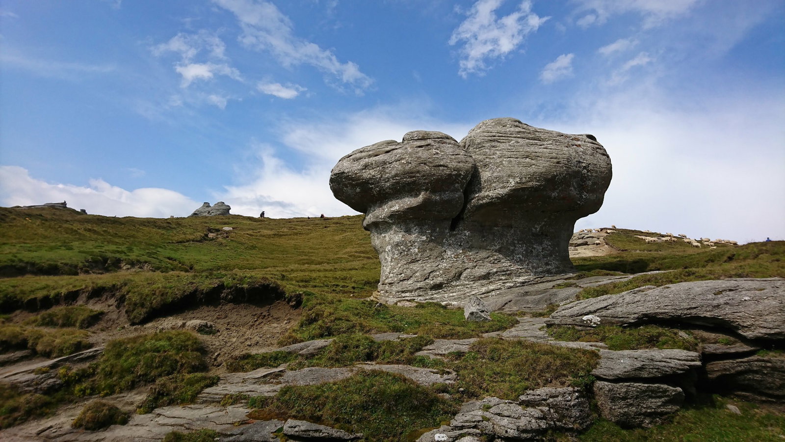 Excursie Circuit drumetie-tronul-de-pe-acoperisul-romaniei