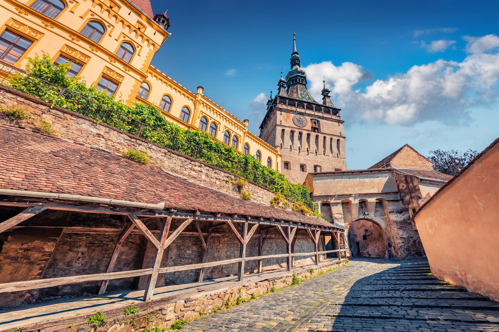 Excursie Circuit drumetie-via-transilvanica-povestea-stejarilor-seculari-pe-urmele-sasilor