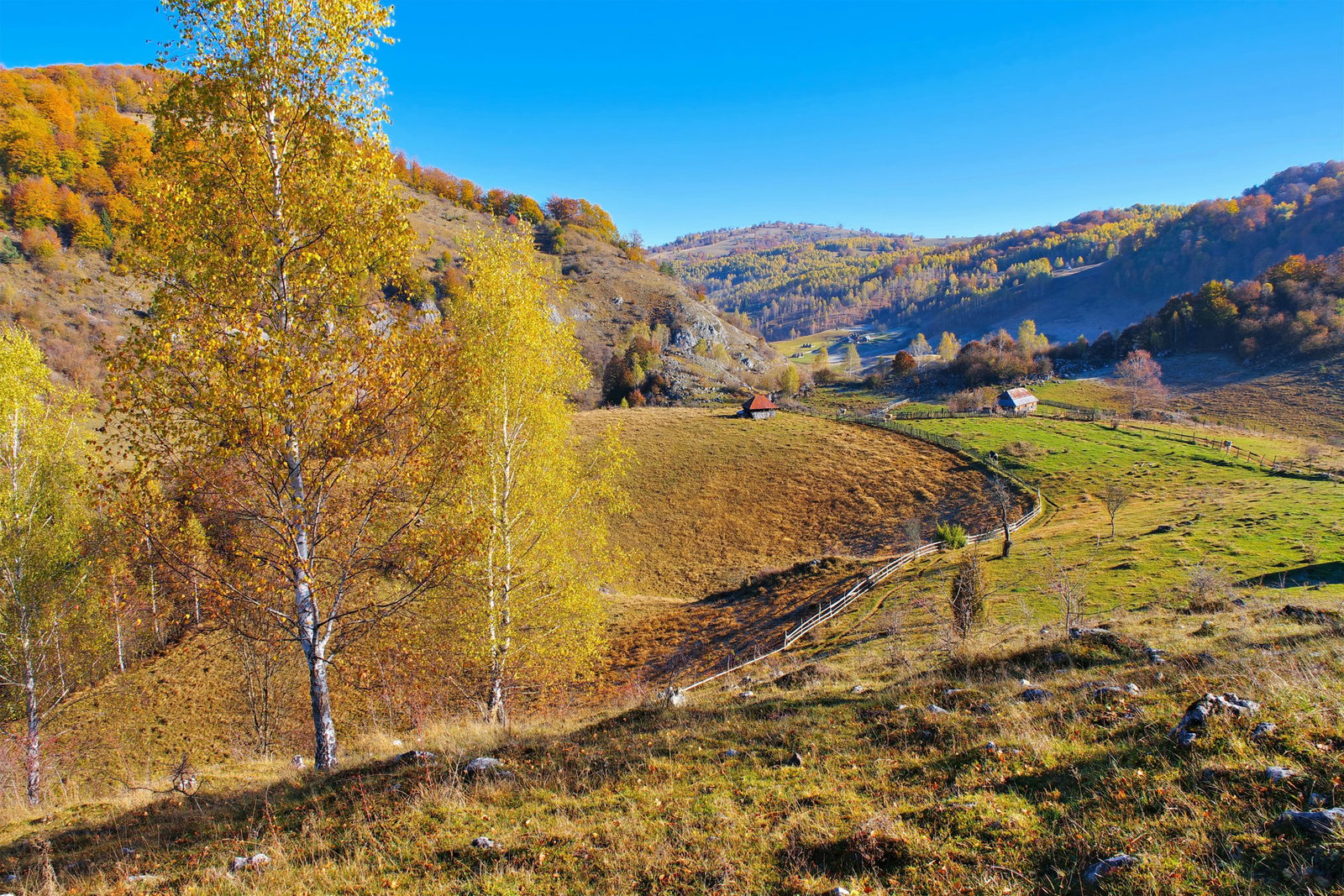 Excursie Circuit drumetie-via-transilvanica-povestea-stejarilor-seculari-pe-urmele-sasilor