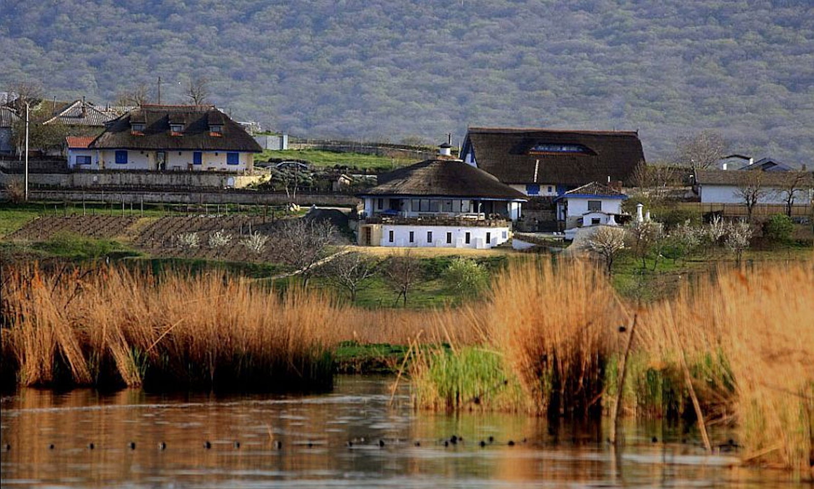 Inima Salbatica a Deltei – Mila 36