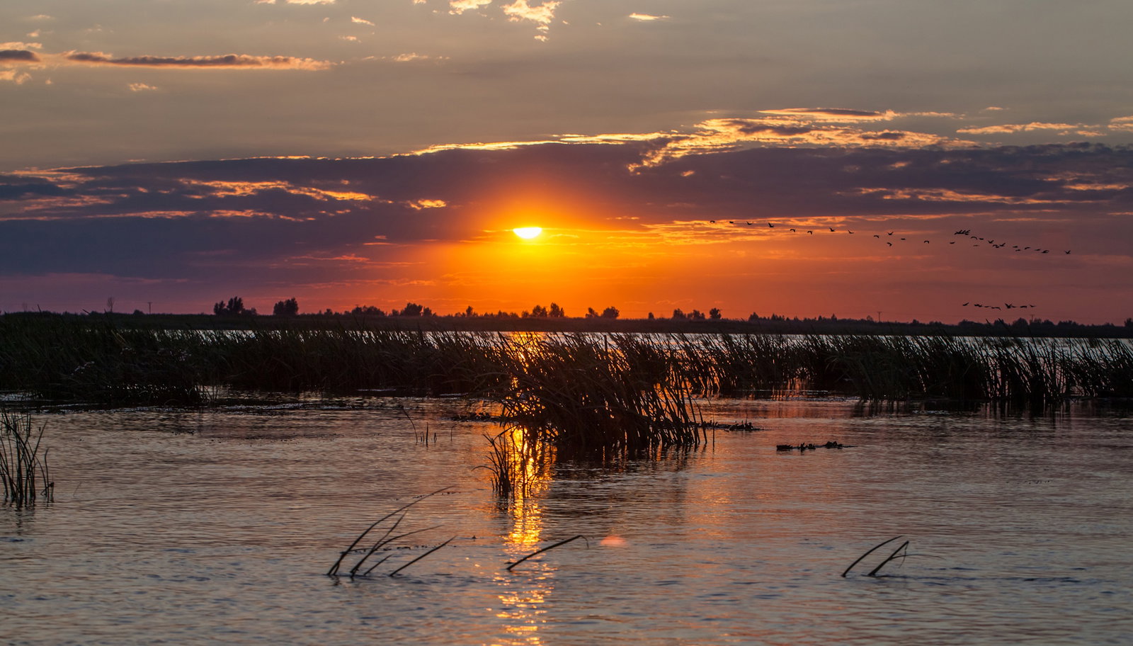 Excursie Circuit micul-paris-de-la-dunare-o-cronica-a-brailei-de-altadata