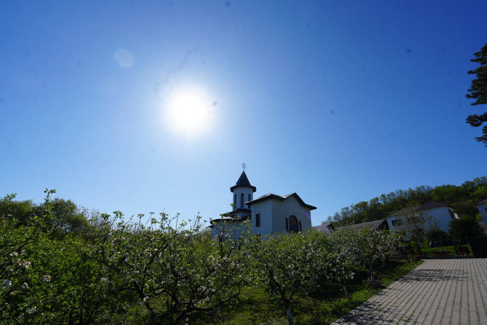 Excursie Circuit ograda-morometilor-si-cetatea-de-la-dunare