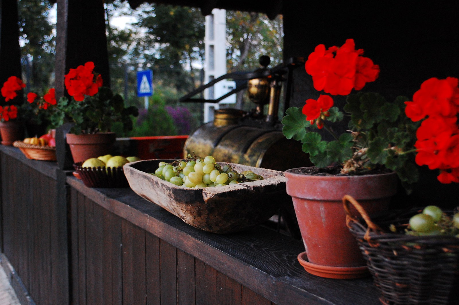 Excursie Circuit simfonia-de-toamna-pe-drumul-vinului