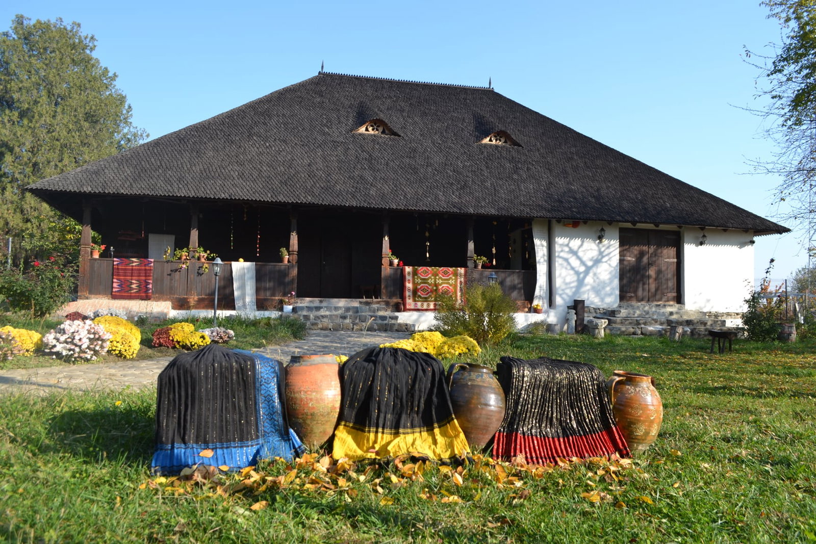 Simfonia de Toamna pe Drumul Vinului