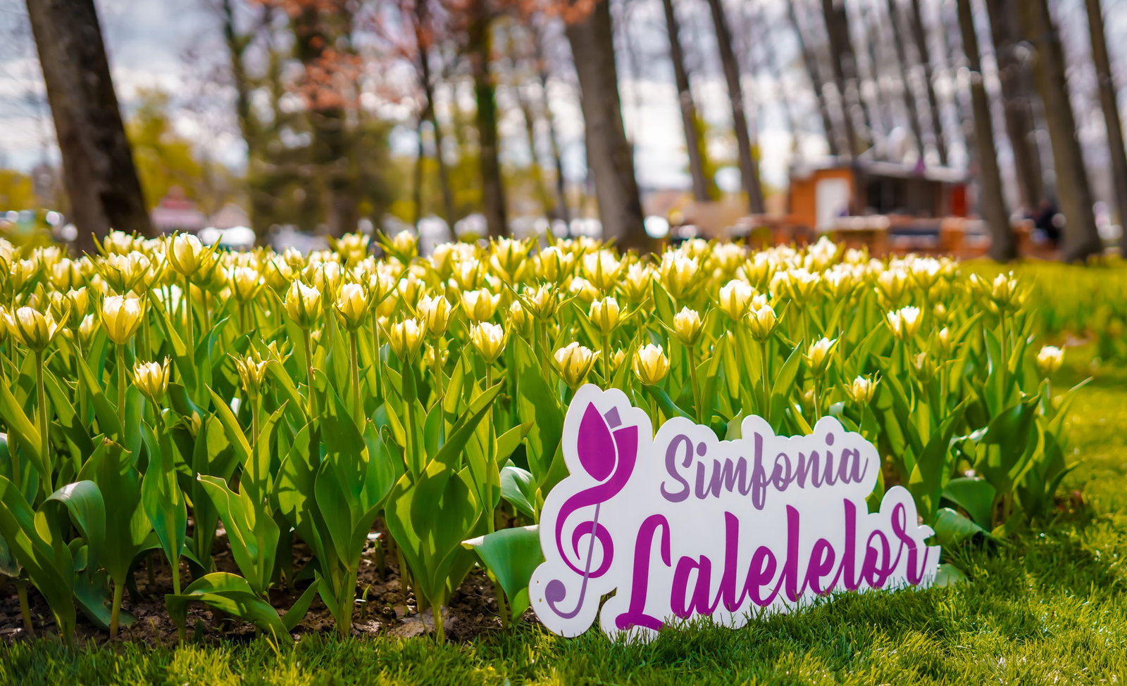 O Evadare in Capitala Lalelelor