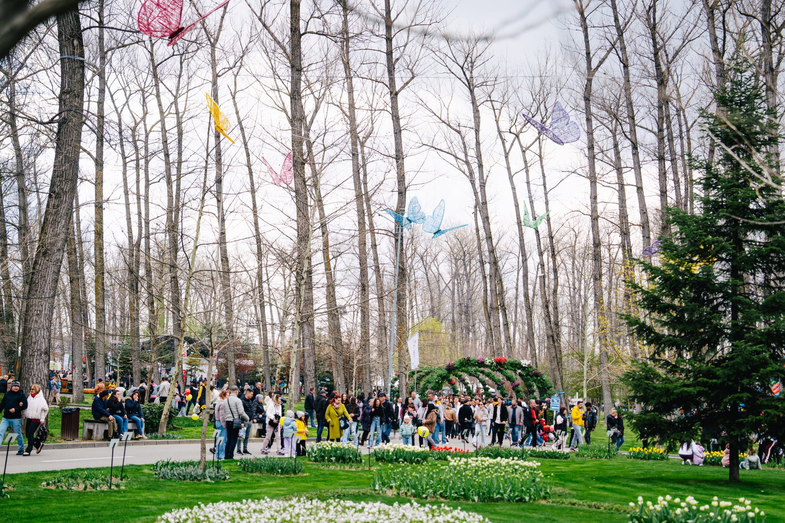 Excursie Circuit o-evadare-in-capitala-lalelelor