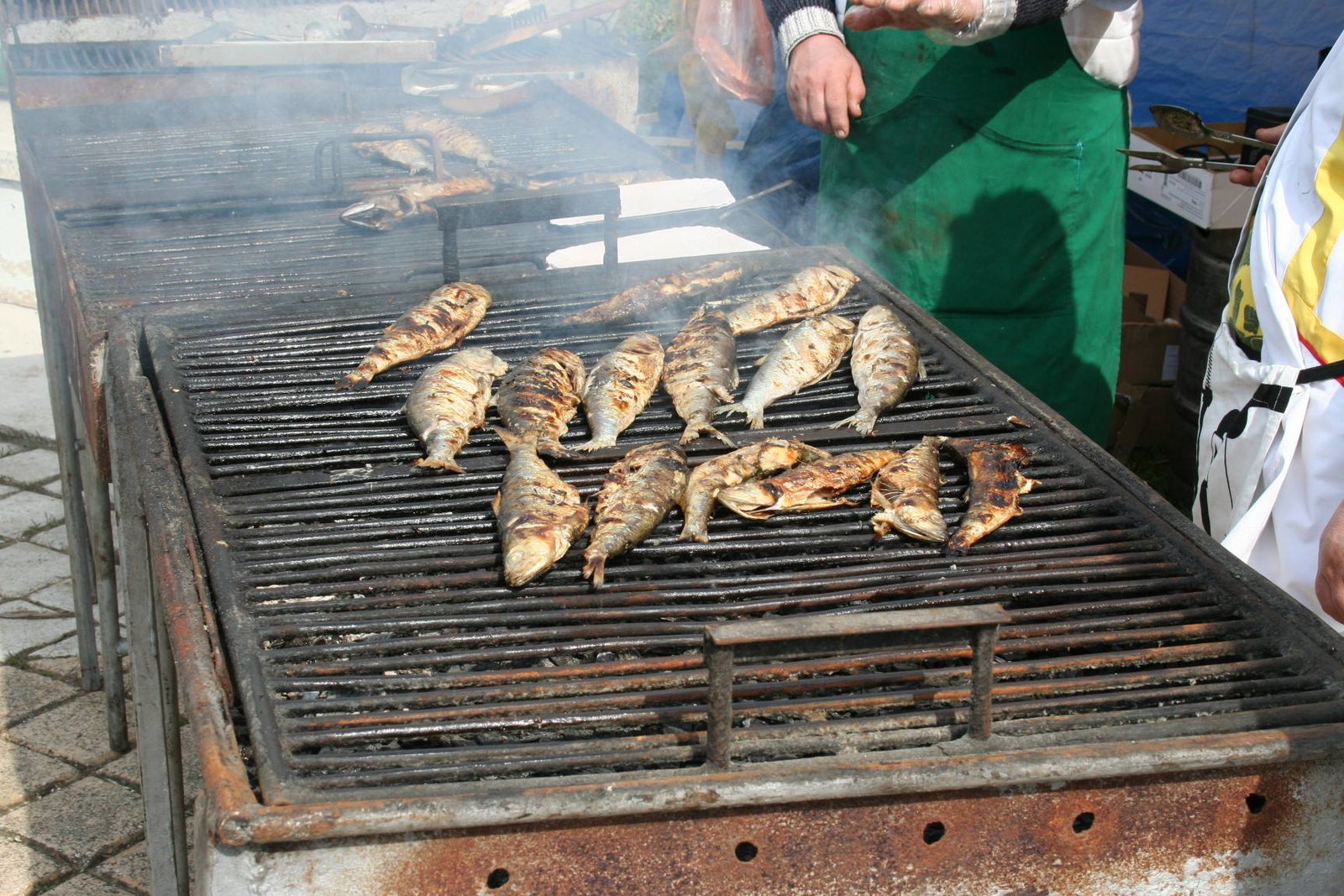 Excursie Circuit floriile-la-portile-dunarii-festivalul-scrumbiei-de-la-galati