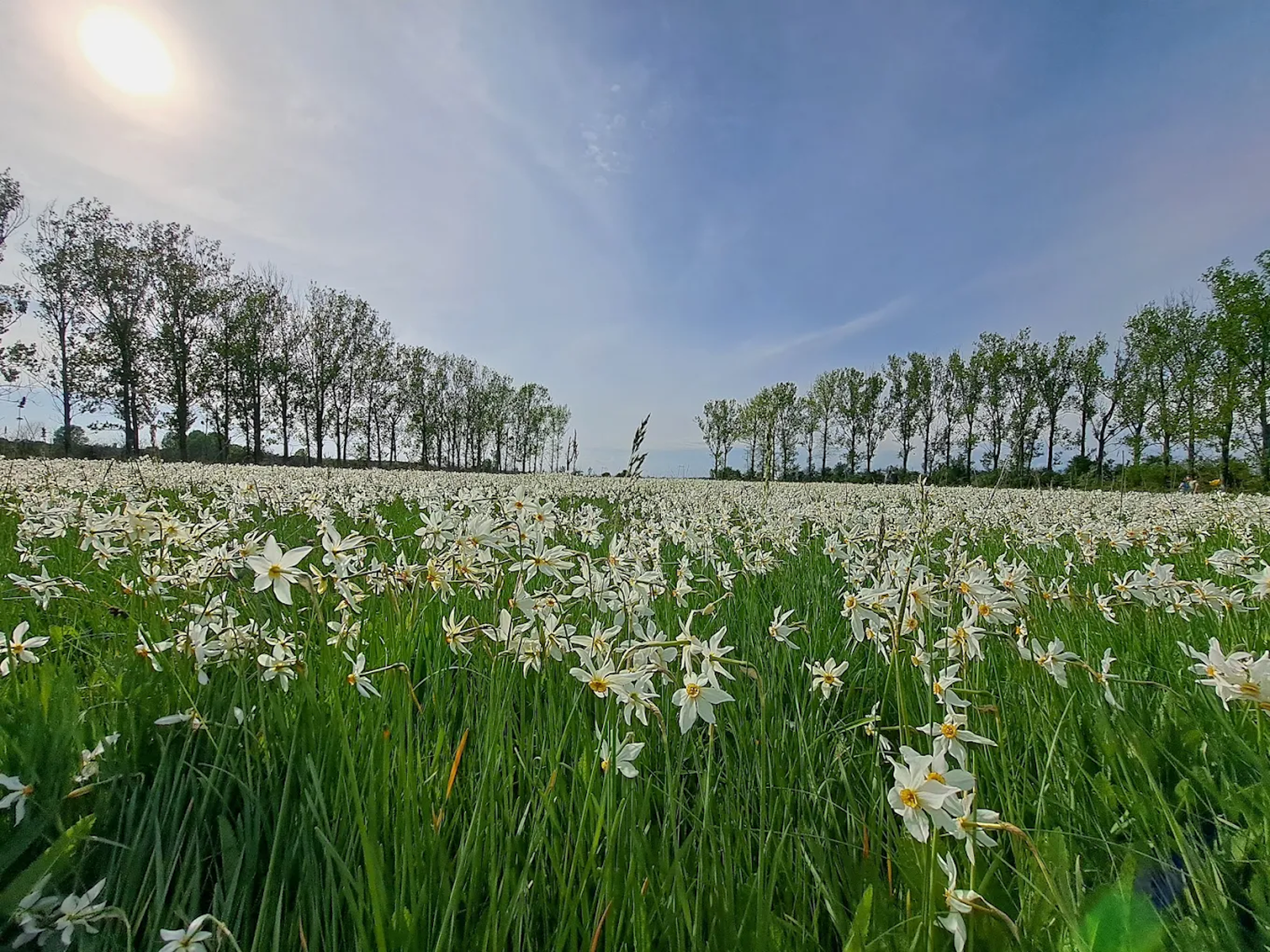 Excursie Circuit de-la-poiana-zanelor-la-tronul-lui-tepes-voda