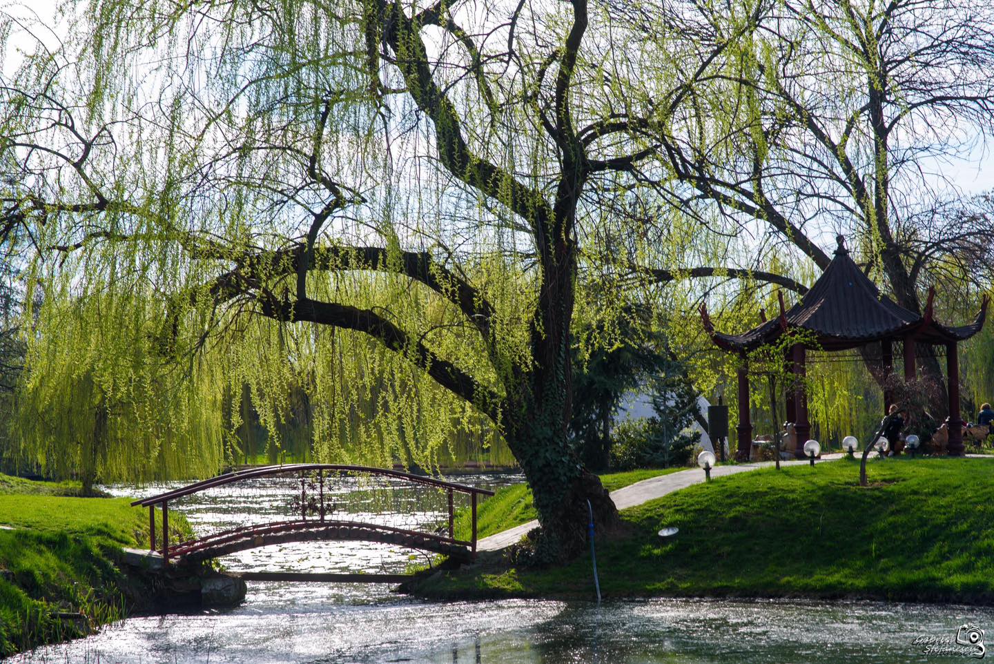 Excursie Circuit amza-pellea-si-craiova