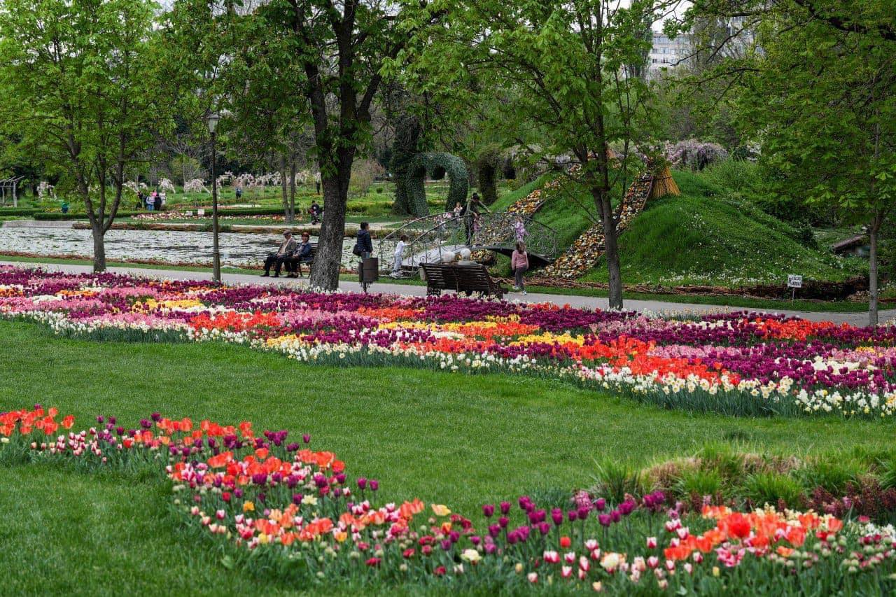 Excursie Circuit amza-pellea-si-craiova