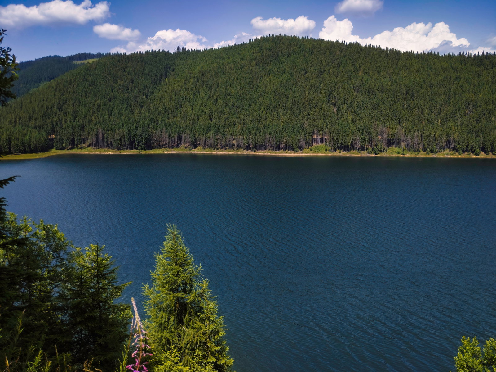 Cronica Mainilor Iscusite: De la Pamantul Olarului la Fantana Secreta a Sucidavei