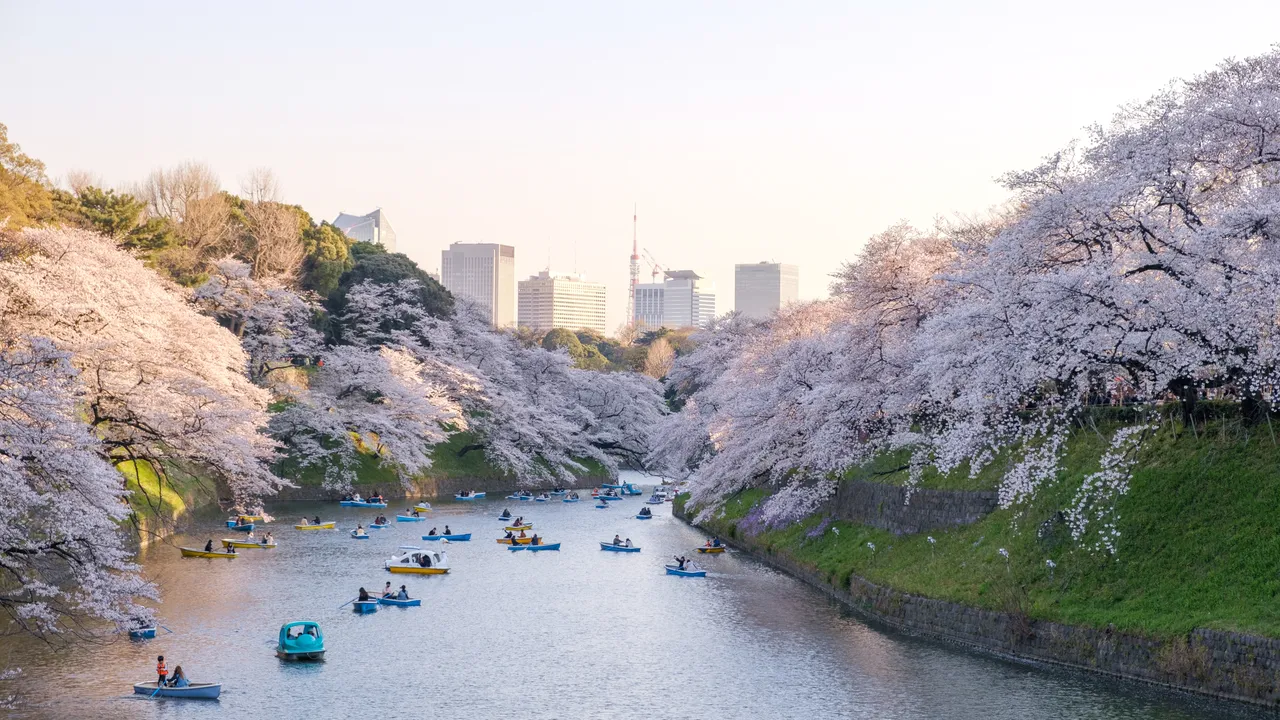 Excursie Circuit croaziera-de-grup-china-corea-de-sud-japonia-spectrum-of-the-seas