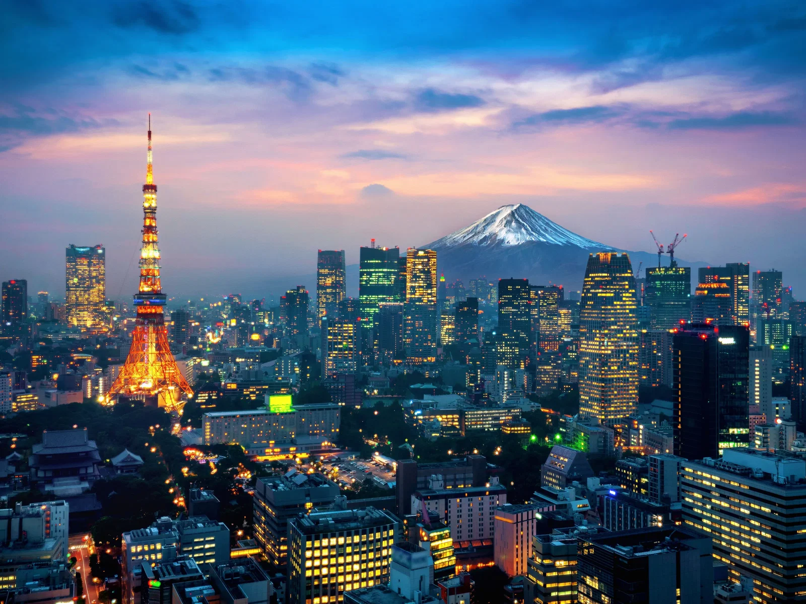 EXCURSIE OPTIONALA INCLUSA  – TOKYO CITY TOUR
