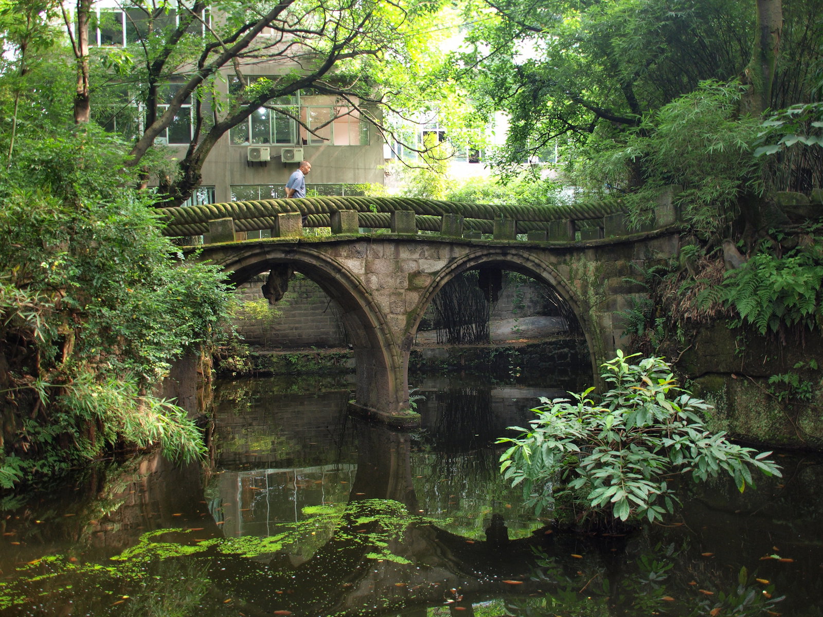 Excursie Circuit china-lumea-panda-si-croaziera-pe-yangtze