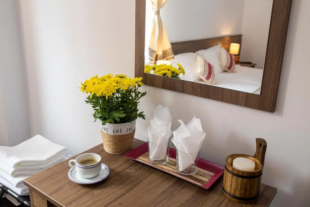 Hotel Floare de Colt