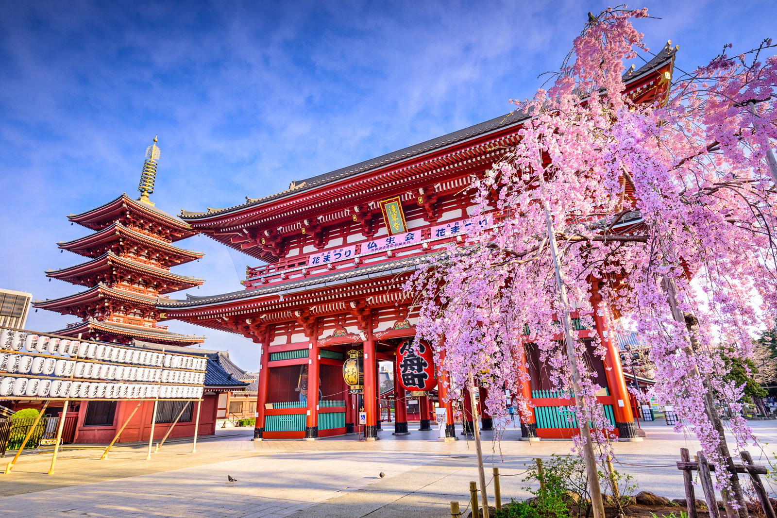 Excursie Circuit japonia-arta-de-a-trai-japonez