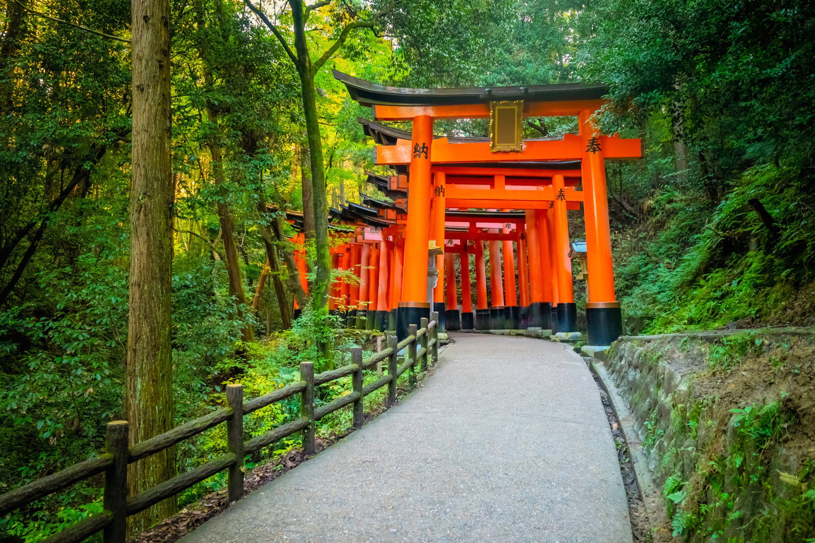 Excursie Circuit japonia-once-in-a-lifetime