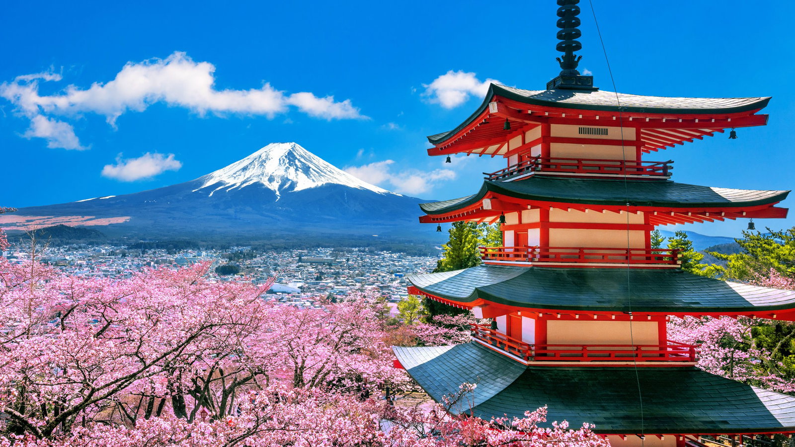 Japonia: Once in a Lifetime