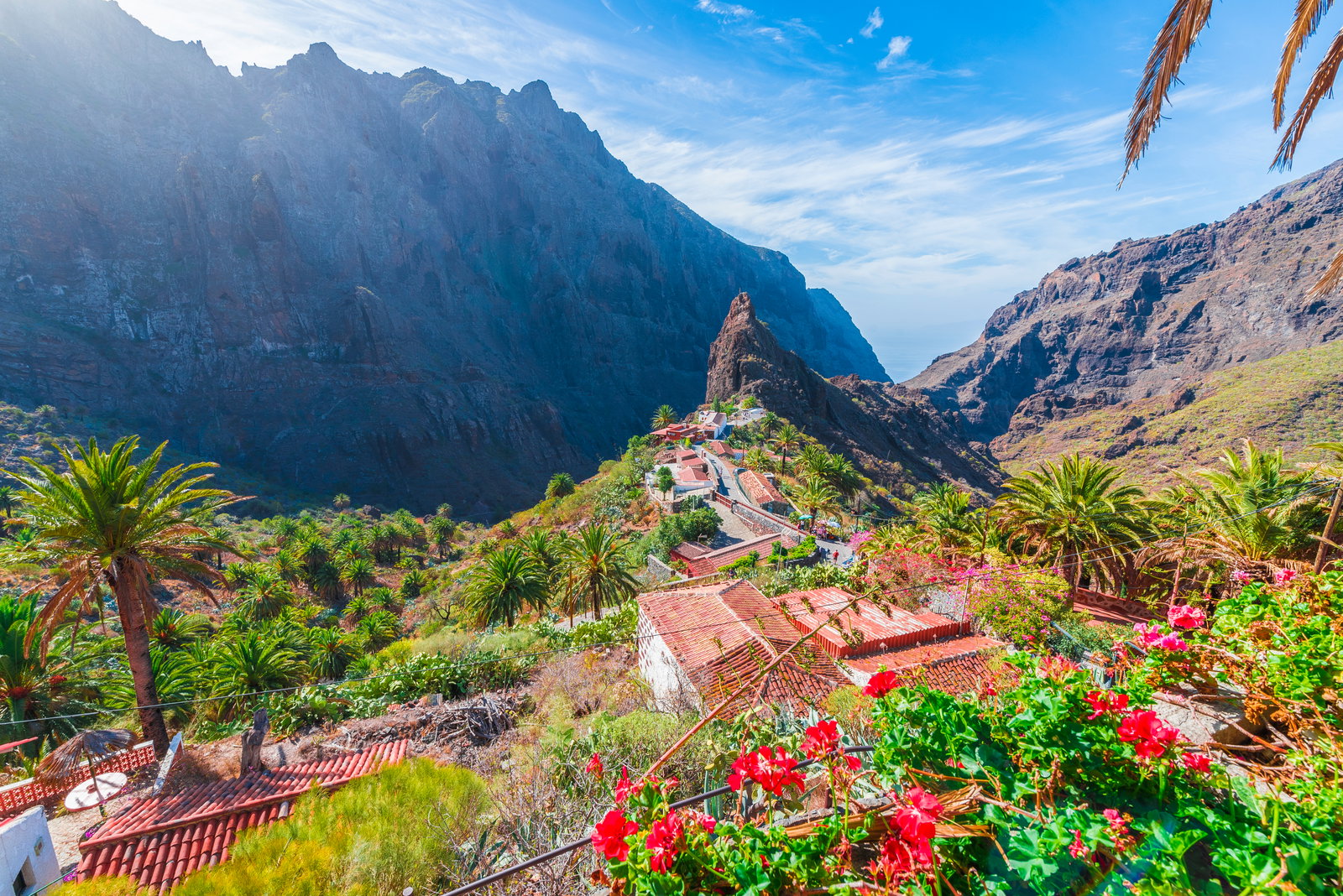 revelion-tropical-in-tenerife