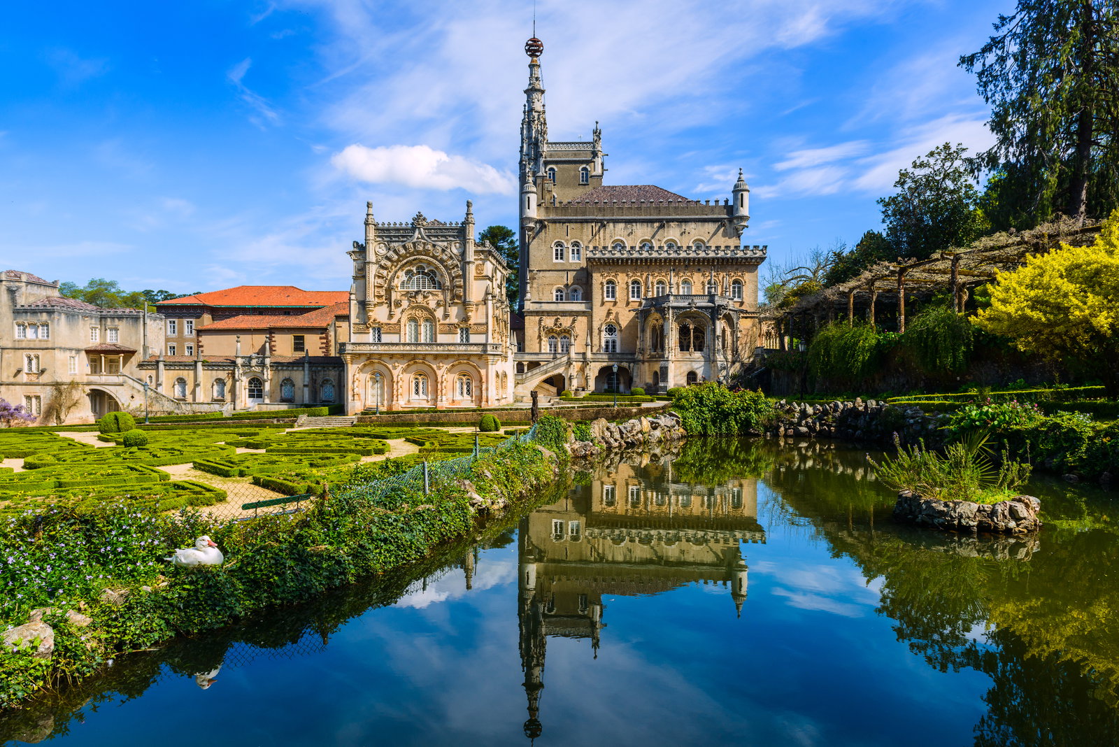 revelion-portughez-porto-si-frumusetile-nordului