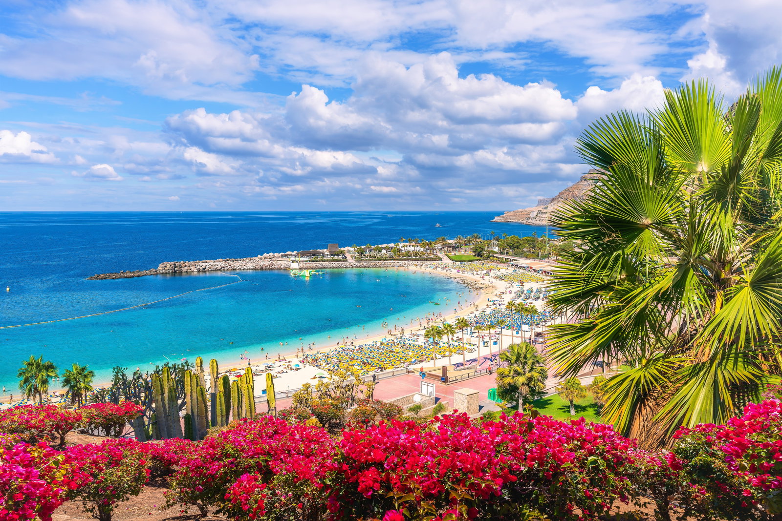 revelion-in-gran-canaria-frumuseti-cat-pentru-un-continent-intreg