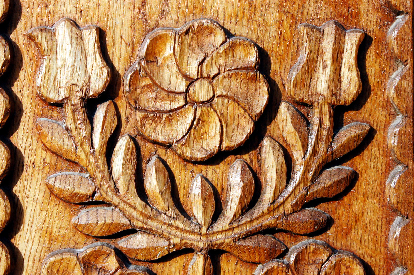 colinde-si-flori-dalbe-de-craciun-la-sovata