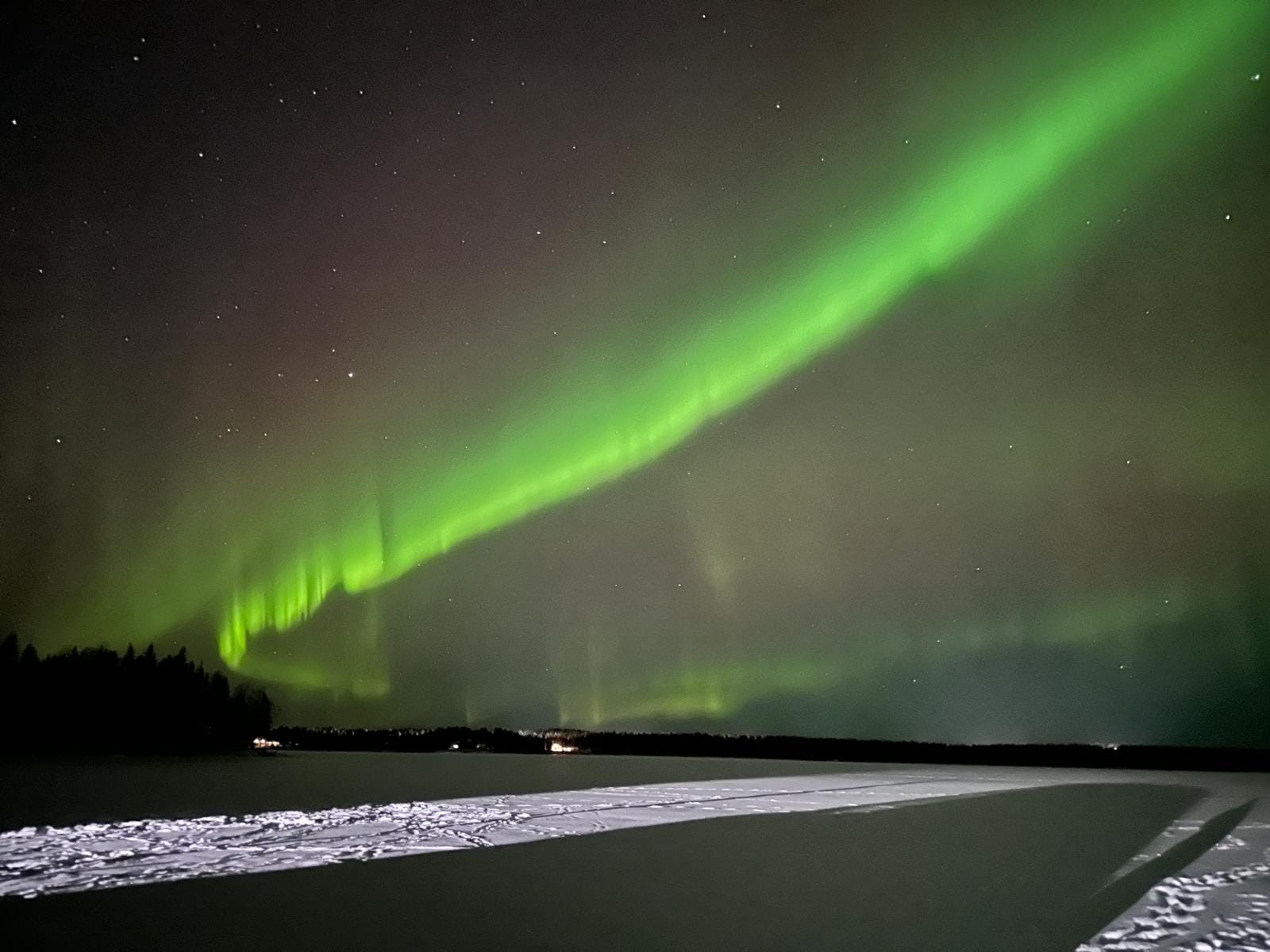 Vanatoarea de Aurora Boreala  (99 €/pers., gratuit pentru copiii sub 2 ani)