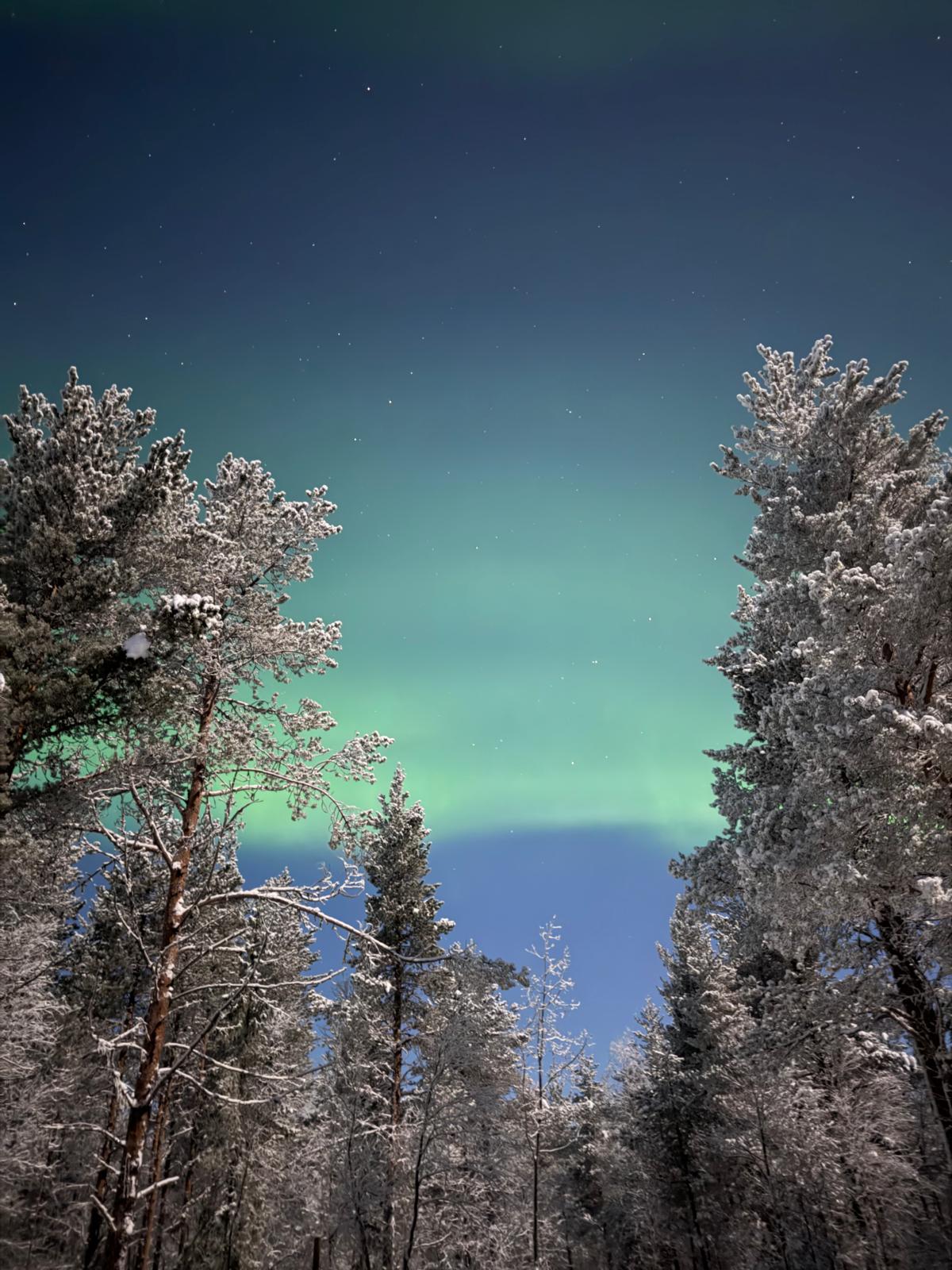 Excursie Circuit aurora-pentru-doi-o-iarna-doar-a-voastra-k5