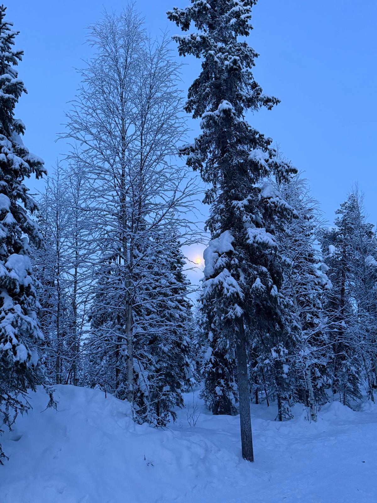 Excursie Circuit laponia-snow-mission-am-schiat-sub-aurora-boreala-sokos