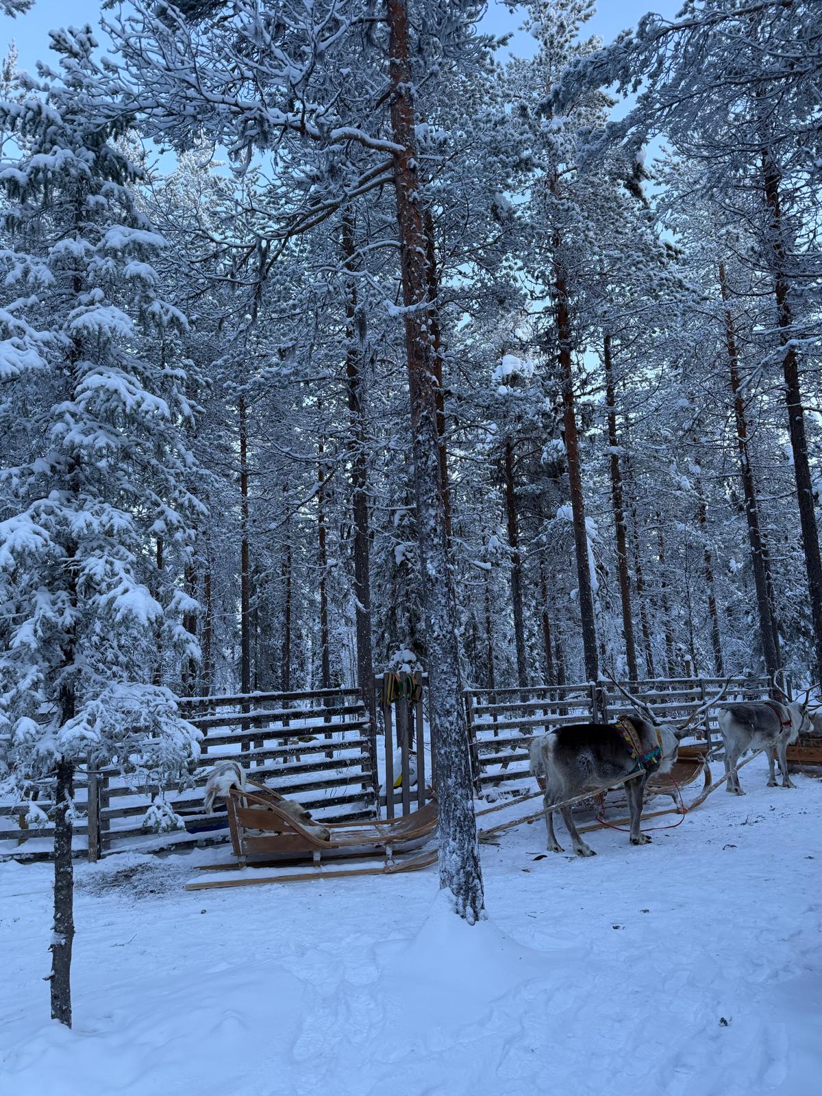 Excursie Circuit laponia-snow-mission-am-schiat-sub-aurora-boreala-k5