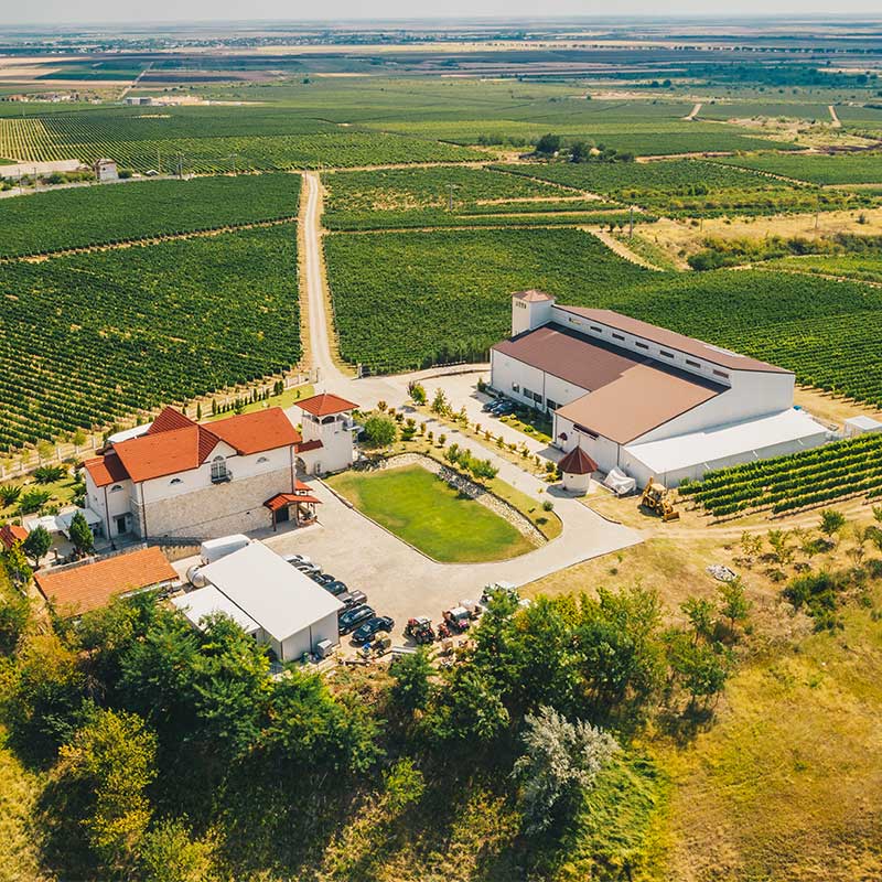 Excursie Circuit vinul-nou-de-sf-andrei