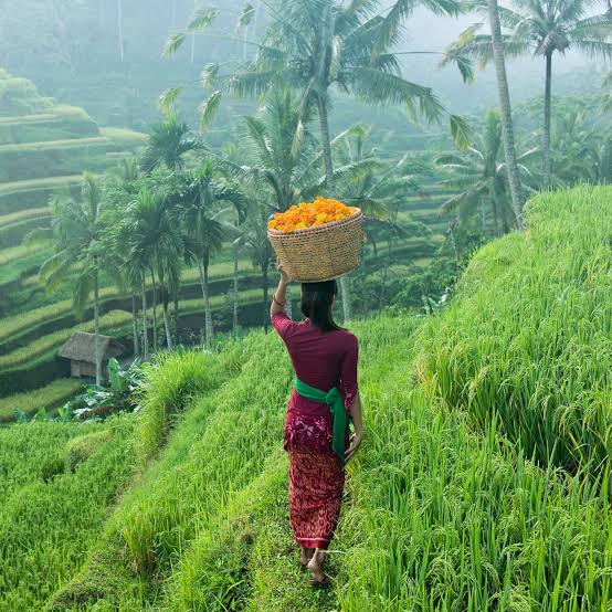 Excursie Circuit sejur-revelion-combo-bali-beach-bali-nature-singapore