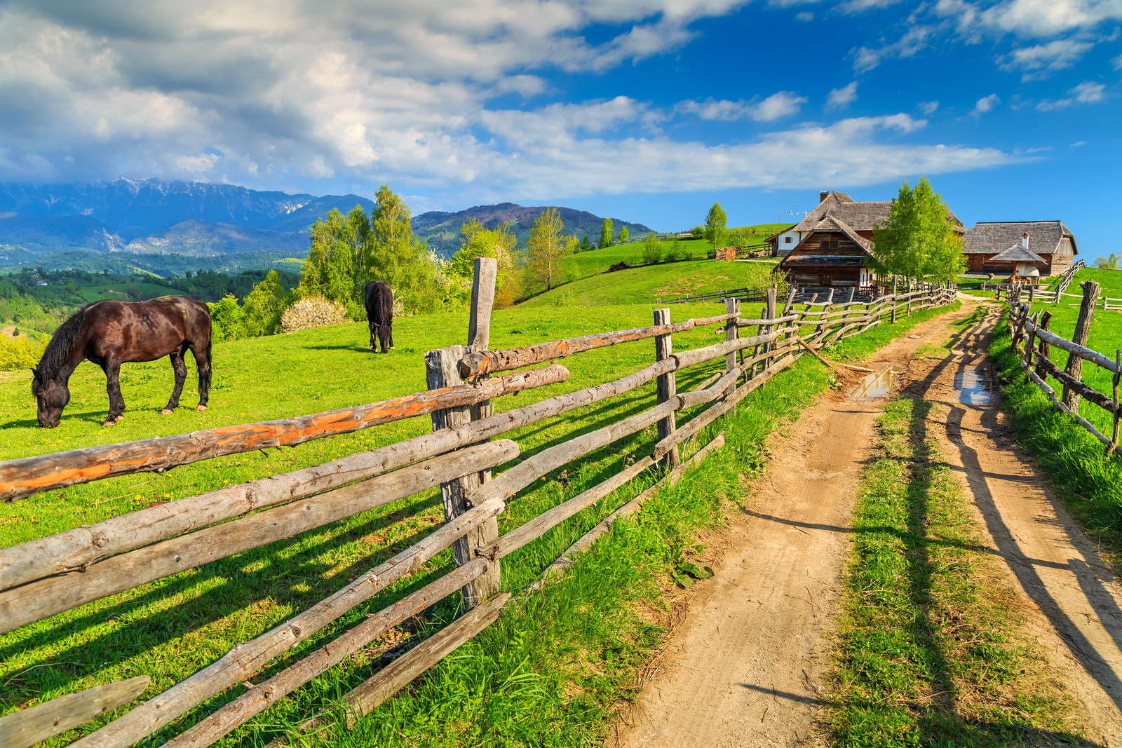 tara-fagarasului-taram-plin-de-curiozitati