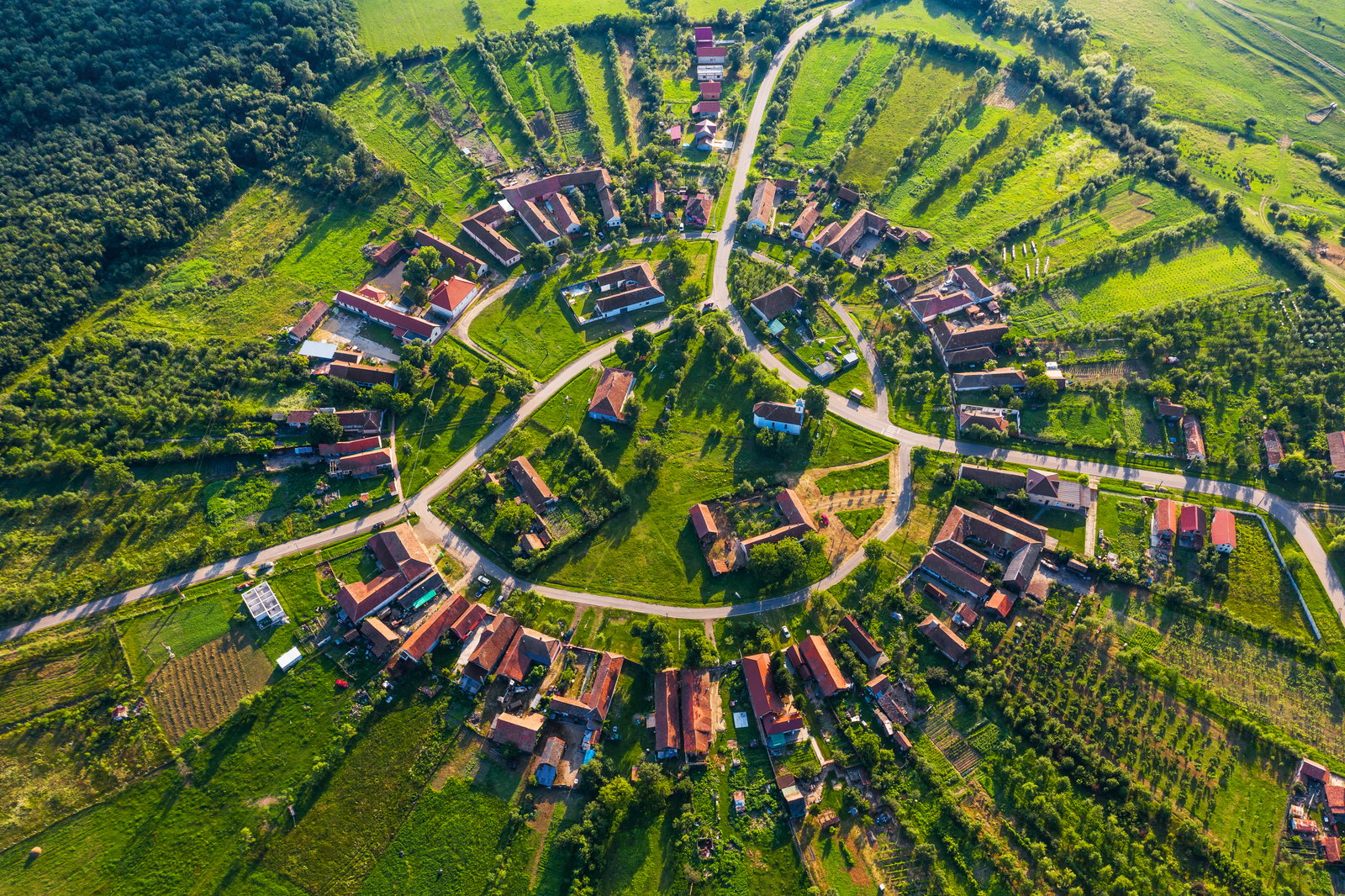 timisoara-o-bucatica-de-occident-si-cateva-surprize