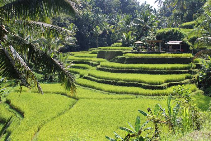 Bali Nature & Beach superior
