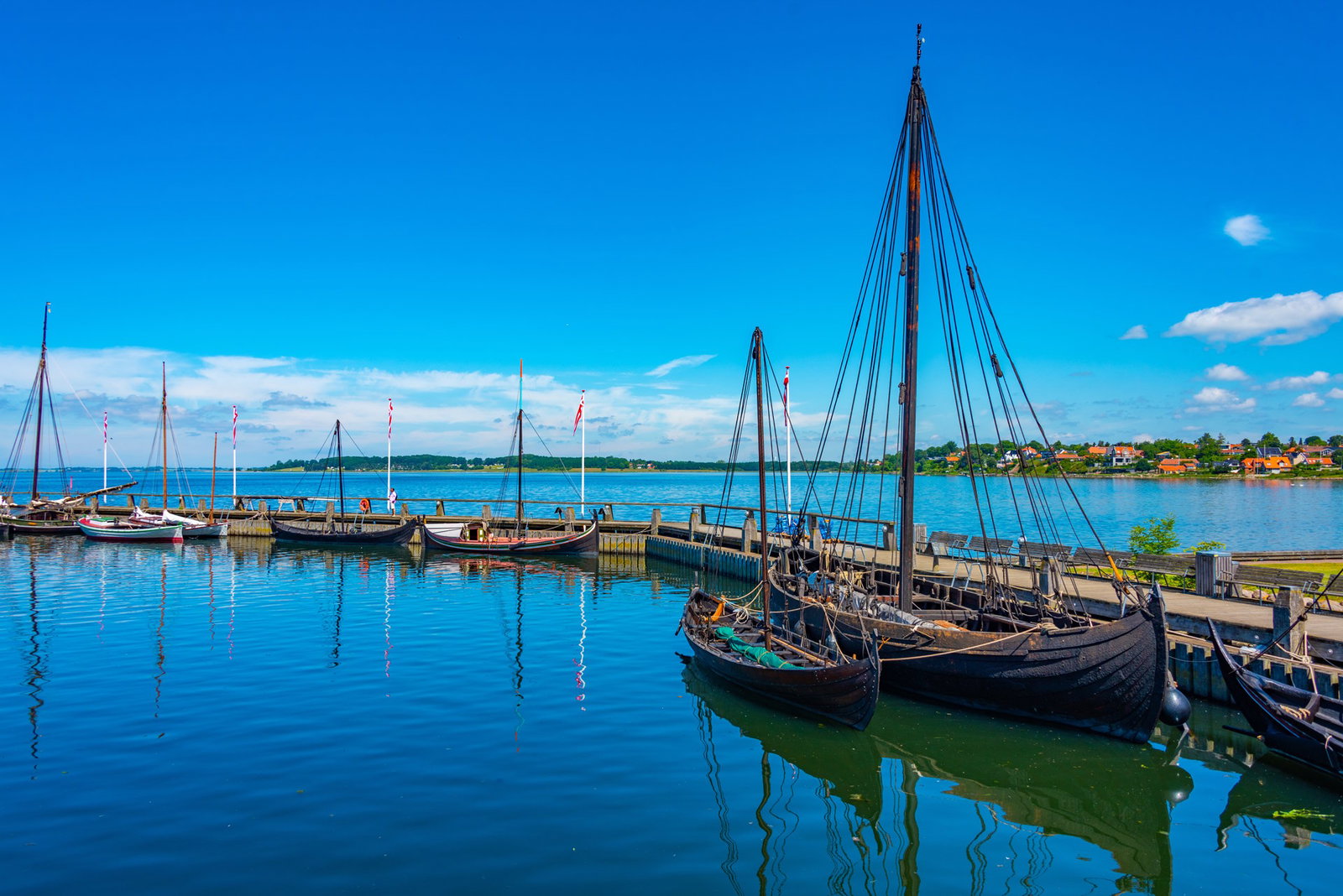 Excursie Circuit copenhaga-regi-vikingi-si-viata-in-stil-danez