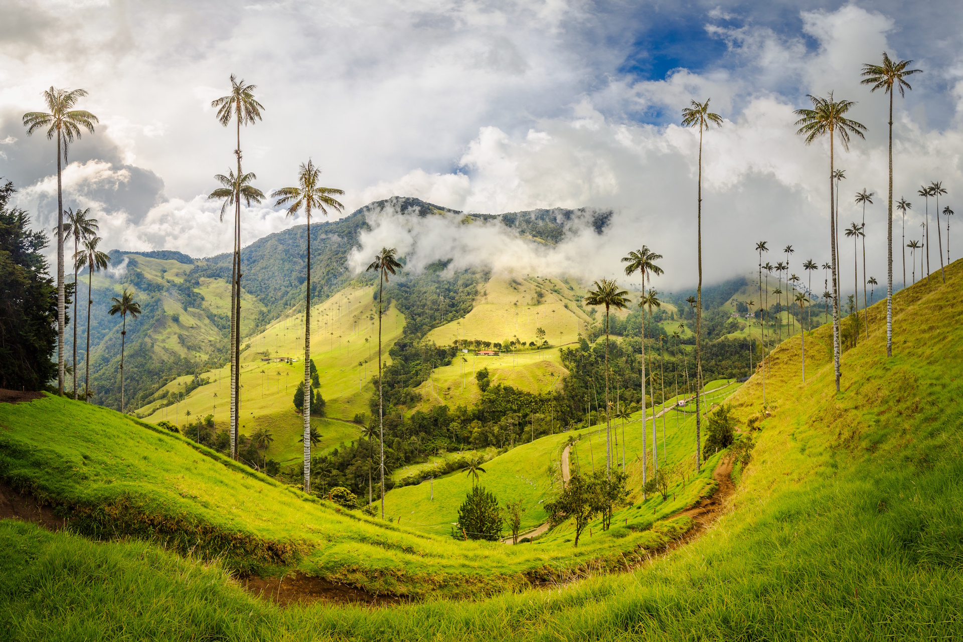 Circuit Columbia: Cronica unei Călătorii Anunțate
