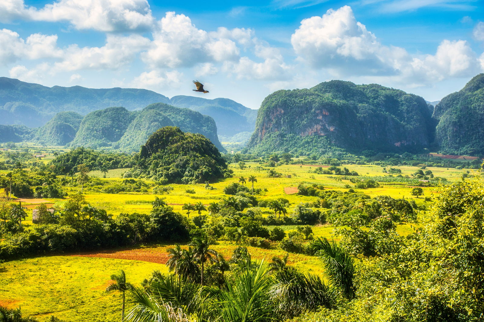 Excursie de o zi – Valea Viñales